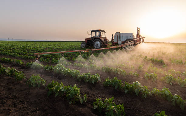 Best Pest Removal Services  in Tremonton, UT