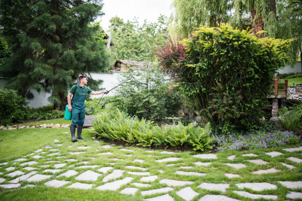 Wasp Removal Services in Tremonton, UT